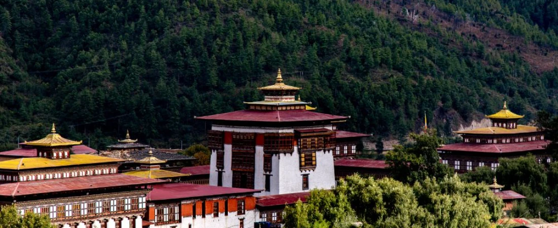 Plan the Perfect Trip to Bhutan: Culture, Nature & Local Insights