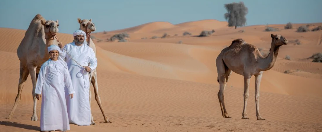 Ultimate Abu Dhabi Trip Planning Guide: Everything You Need to Know