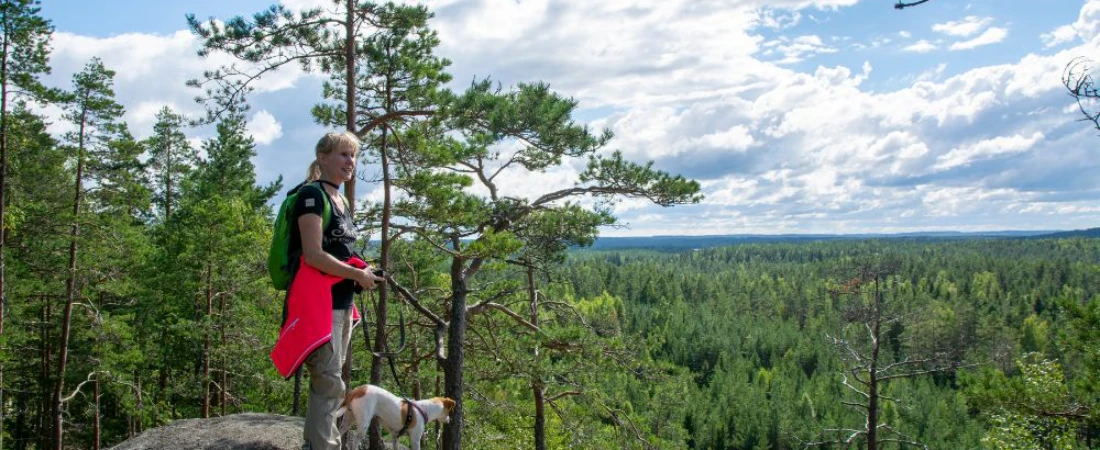 Wilderness Awaits: Explore Hiking Trails, Lakes, and National Parks in Finland
