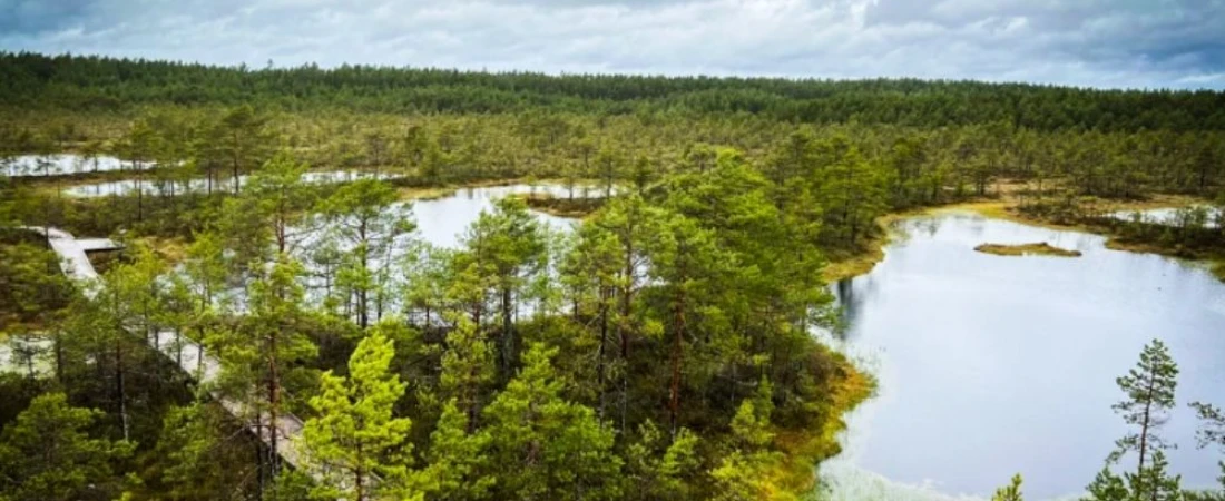 A Complete Guide to Top Destinations in Estonia