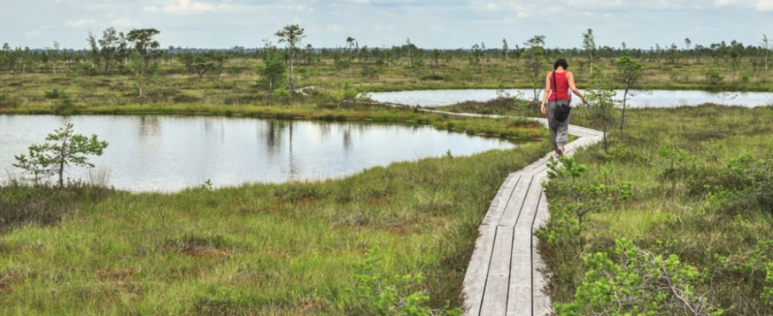 A Complete Guide to Top Destinations in Estonia