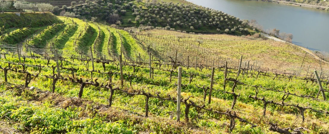 Top Unique Things to Do in Portugal